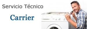 servicio tecnico CARRIER